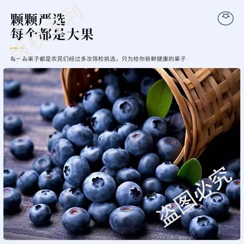 Dandong Blueberries 125Gx2/4 Boxes Fruit Diameter 14/18/20mm Sf Free Shipping