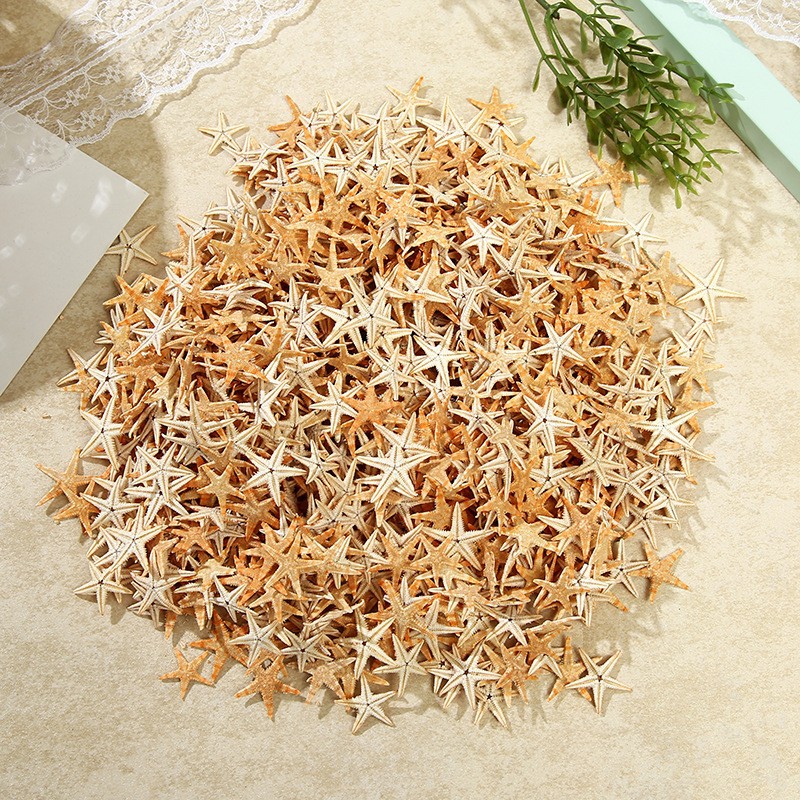 Персонализированные DIY, классический материал, натуральные морские звезды, ракушка, аксессуары для бутылки, микро-ландшафтный материал, мини-морские звезды