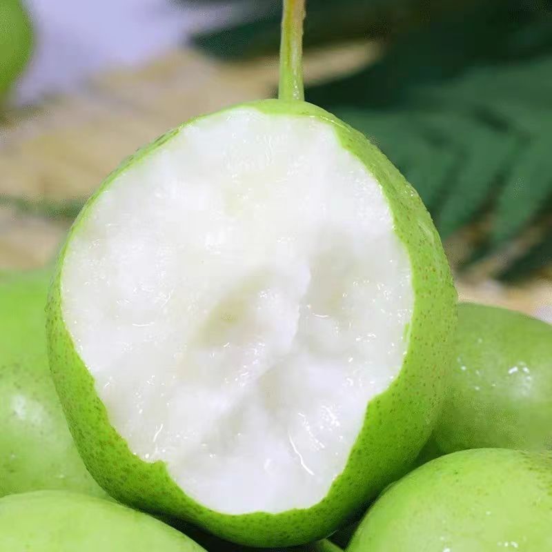 Fresh Green-Skinned Pears for Early Autumn, Seasonal Fruit for Pregnant Women, Whole Box of 1.0-4.5kg Early-Ripening Pears Wholesale
