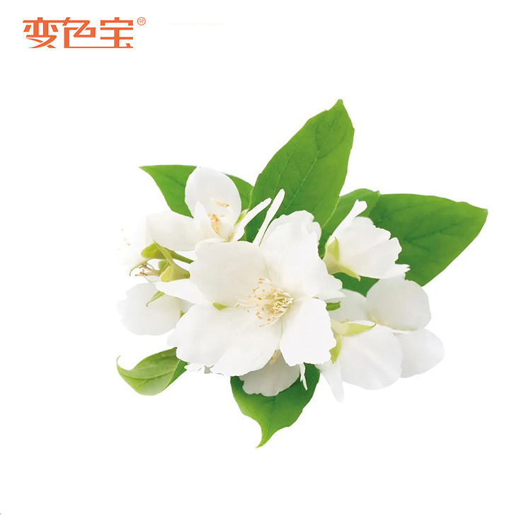 Fruit Scented Ink Scented Card Screen Printing Microcapsule Scented Ink Flower and Grass Long-Lasting Scented Ink