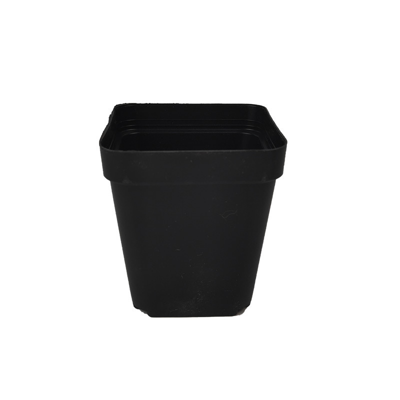Black flower pot gardening supplies fleshy small black square pot black fleshy seedling pot plastic flower pot spot wholesale