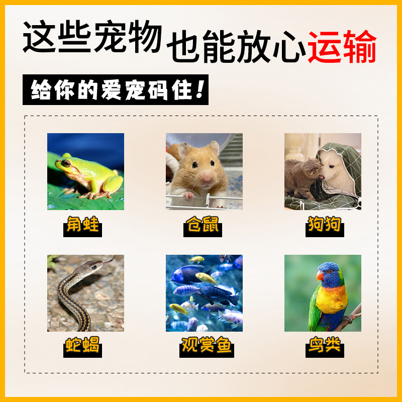 Wholesale Pet Transport Heating Packs, Long-Lasting Heating for Plants, Ornamental Fish, Reptiles, Aquariums, and Express Delivery Insulation Heating Packs