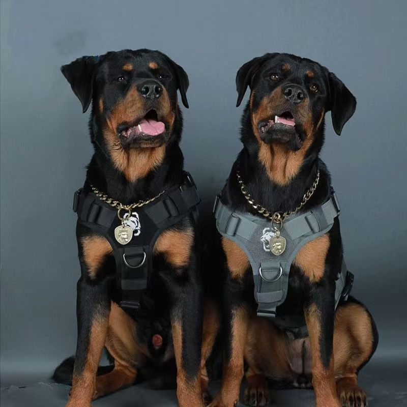 Purebred German Rottweiler Puppies, Bulldogs, Explosion-Proof Dogs, Large Dogs Wholesale, Police Dogs, Working Dogs, Dog Immunization and Deworming