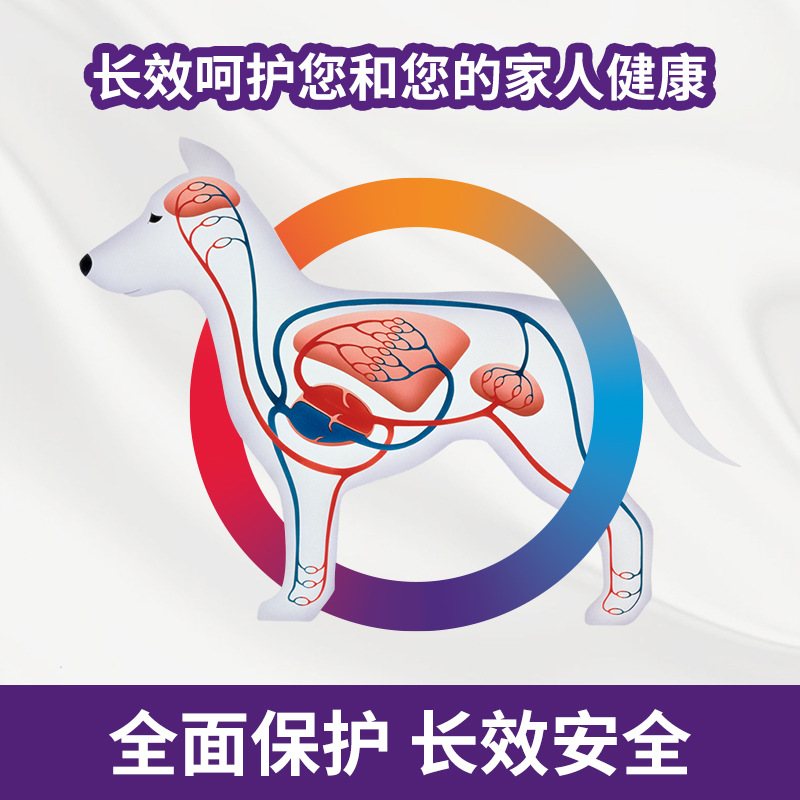 Anti-Counterfeiting Can Check Beweiduo Pets, Special for Dogs, Small/Medium/Large Dogs, Long-Lasting External Area