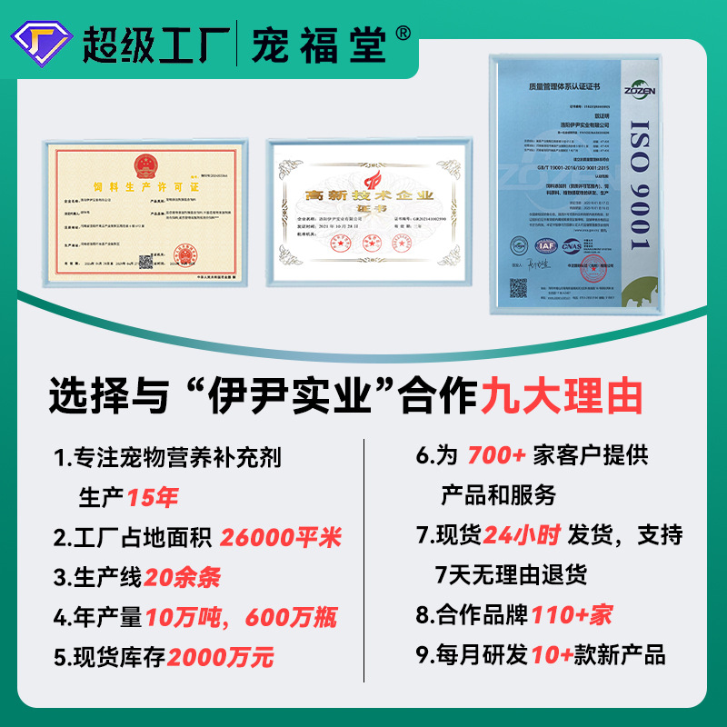 pet multivitamin nutrition supplement for dogs and cats pet-specific multivitamin B source factory generation