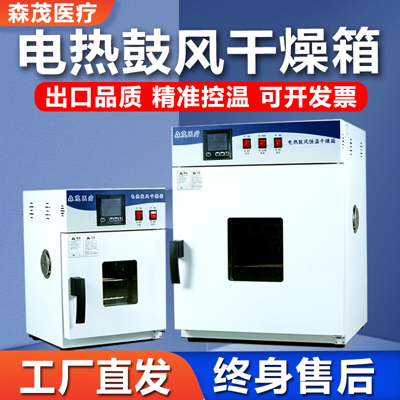 Electric blast constant temperature dryer university laboratory drying oven double air centrifugal fan food dry fruit dryer