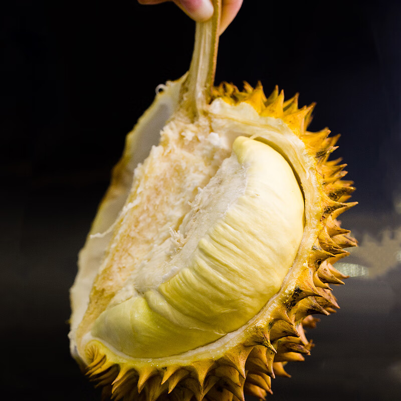 Thai Golden Pillow Durian Whole Box in Stock Fresh Durian Whole Fruit Source Fresh Fruit with Shell Seasonal Fresh Produce Dropshipping