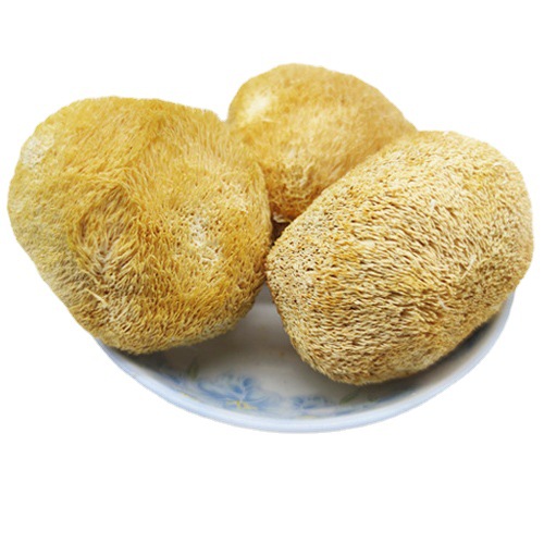 Dried Hericium Erinaceus Powder, Raw Material for Lion's Mane Mushrooms, Root and Stem Trimmed, Sulfur-Free, Bulk Edible Fungi, Wholesale Export Grade