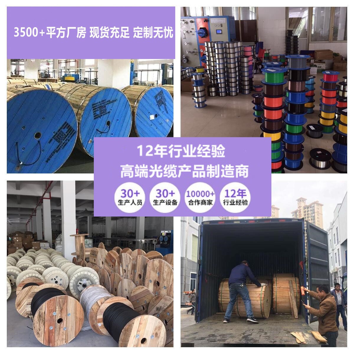 4-Core, 6-Core, 8-Core, 12-Core, 24-Core, 48-Core, 96-Core, 144-Core, 288-Core Single-Mode Armored Fiber Optic Cable for Outdoor Use