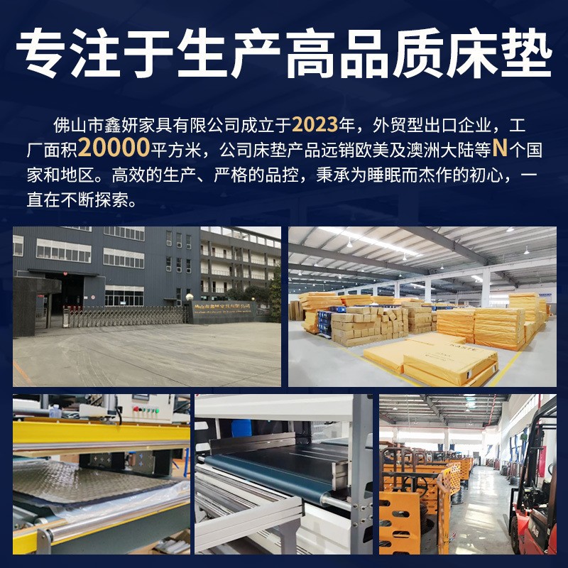 Hilton Five-star Hotel Homestay Mattress 30cm Thick Latex Independent Spring Mattress Upholstered Home Simmons