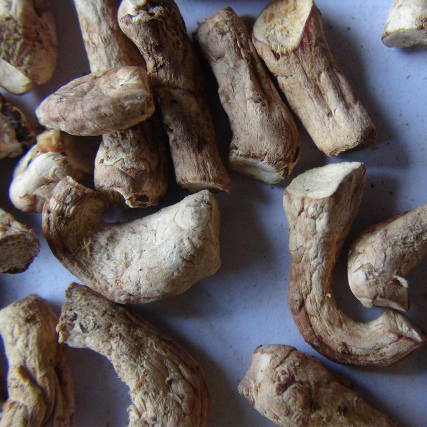 Double-Cut Small Mushroom Stems, Xixia Specialty, Mushroom Stems Cut into Single or Double Pieces, Mushroom Feet Cut into Diced Strips, Direct Sales from the Manufacturer, Dried Mushroom Products