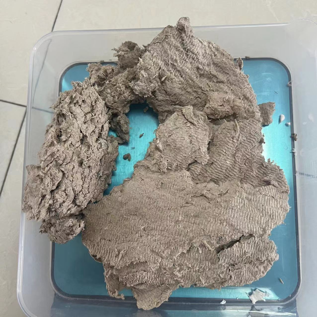 Manufacturer Processed Coated Pulp Natural Color Pulp Yellow Red Green Yellow White Pulp Recycled Original