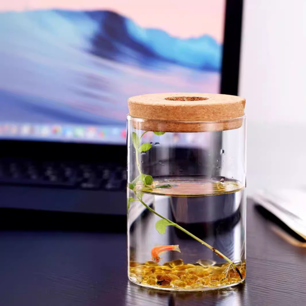 High Borosilicate Glass Straight Vase Green Rose Small Fish Tank Flower Arrange Hydroponic Landscape Flower Pot Vase Glass Ornaments