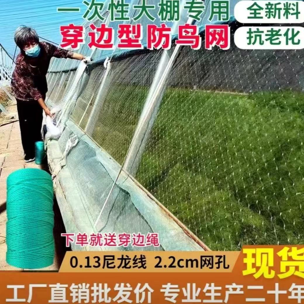 Disposable Edge-Proof Bird Net for Raising Beans, Rice Anti-Bird Net, Farmland Protection Net, Fruit Tree Cherry Anti-Bird Net