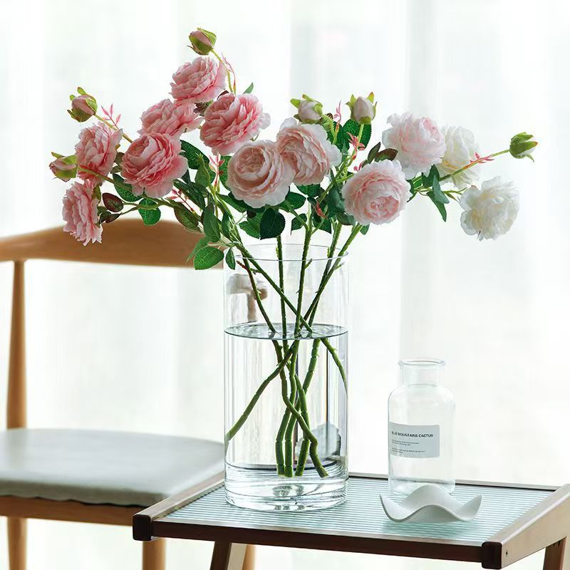 Small Glass Vase for Flowers, Transparent Straight Tube Dried Flowers, High Borosilicate Glass Vase, Flower Hydroponic Plant Vase Decoration