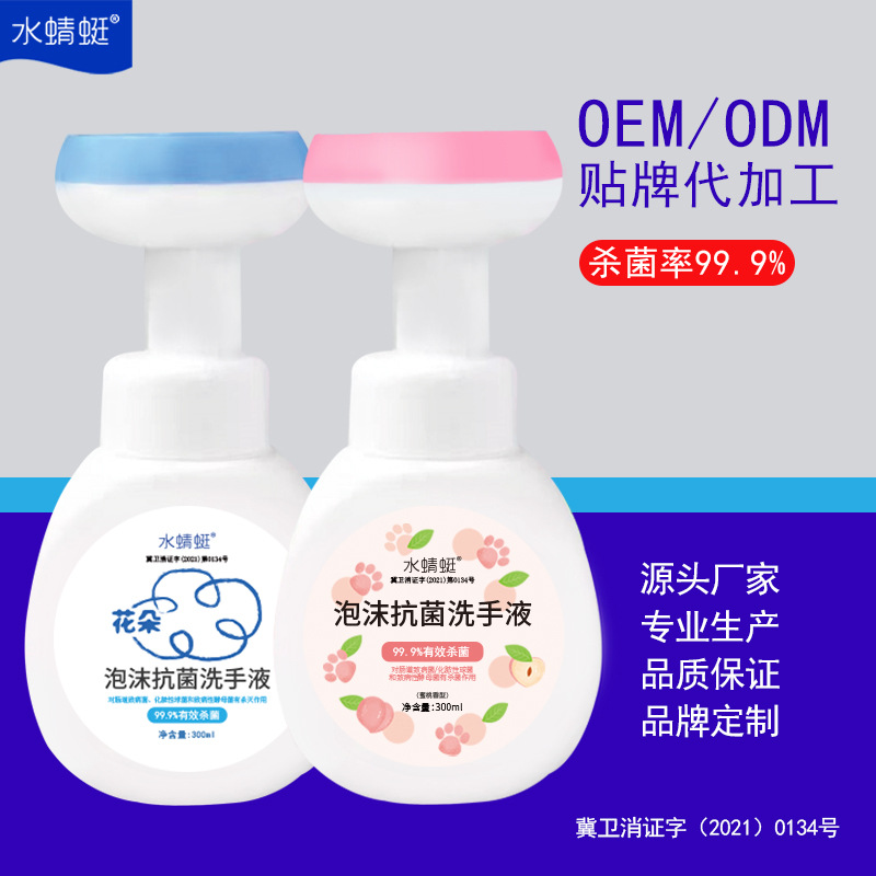 300ml Bubble Hand Sanitizer Factory Oemodm Oem Custom Disinfection Flower Foam Antibacterial Hand Sanitizer