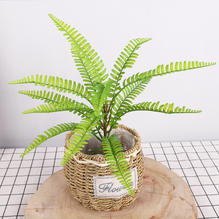Scandinavian Simulated Ferns, Plant Wall Accessories, Photography Props, Natural Soft Rubber Simulated Grass, Persian Grass Wholesale