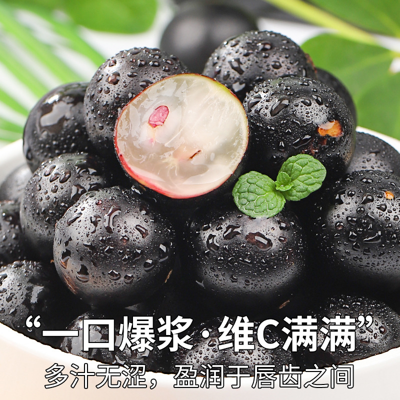 Shun Feng Air Transport 2.00kg Jia Bao Fruit Fresh Fruit Tree Grape High-end Varieties Fresh Fruit Pregnant Women Pick Whole Boxes Postage