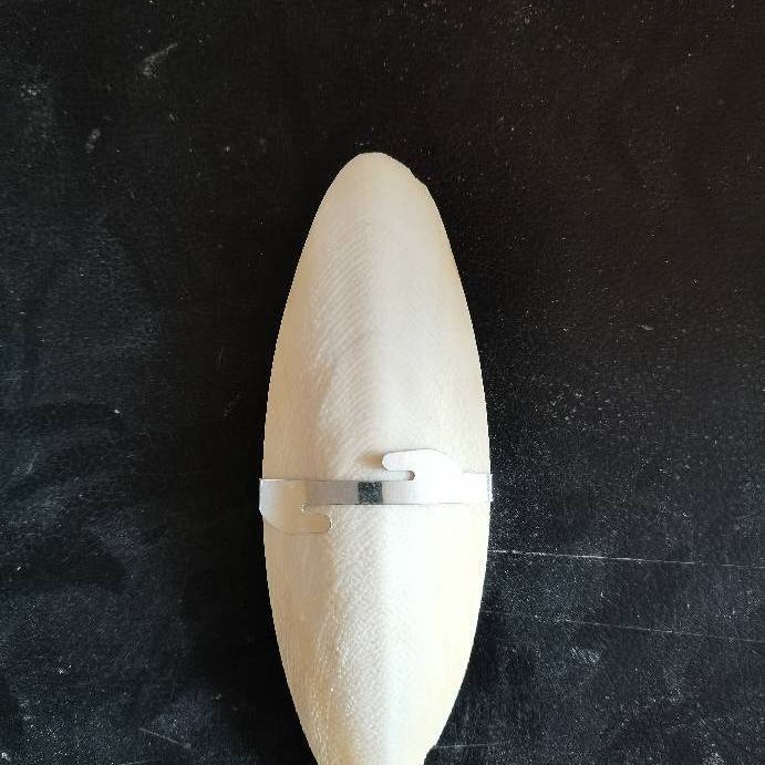 Polished cuttlefish bone bubble shell with various sizes to sample pet parrot hamster grinding teeth bite cuttlefish bone