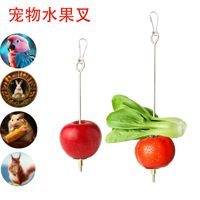Стainless steel fruit fork for birds, кормушка для попугаев, игрушки для птиц, аксессуары для клеток
