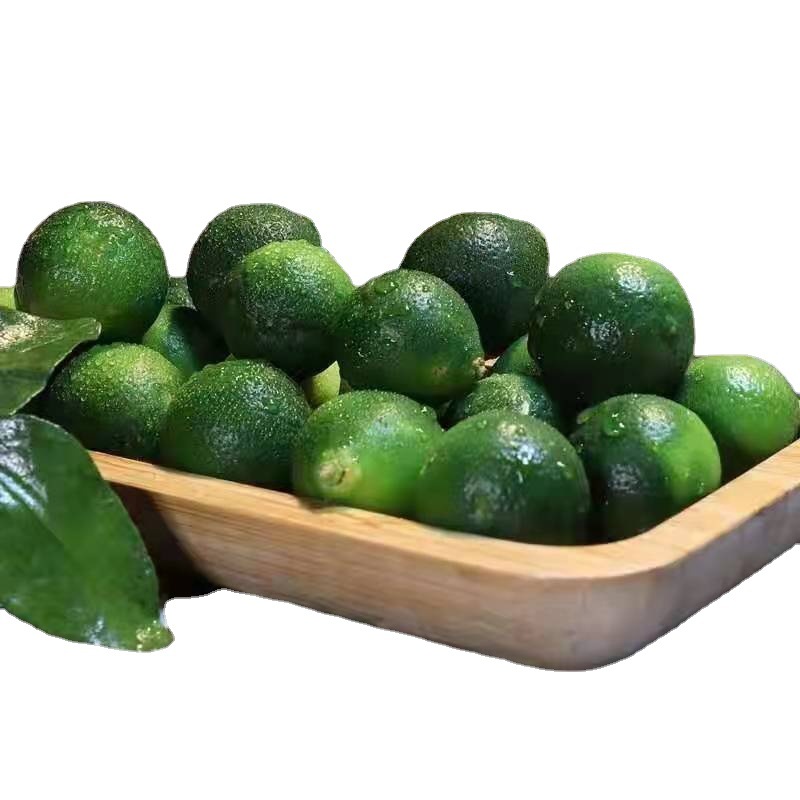 Hainan Fresh Small Green Orange Fruit, Fresh Seasonal Green Kumquat, Lemon Sour Green Orange Peel, Thin Juice, Milk Tea Shop Exclusive