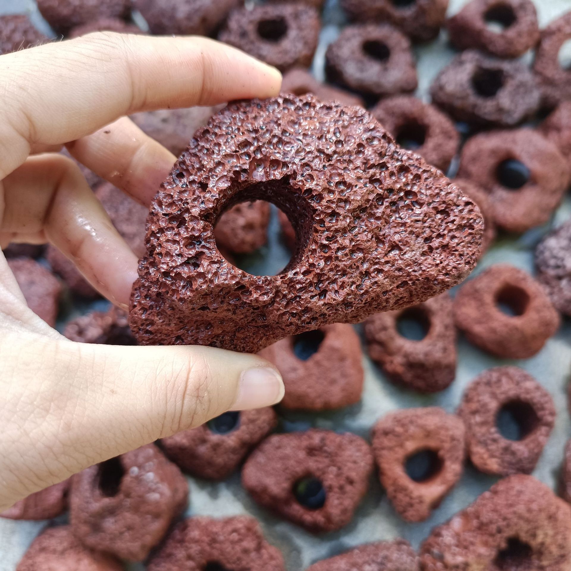 Factory supply fish tank water plant fixing ring water plant planting ring landscape decoration sink water ring volcanic stone water plant ring