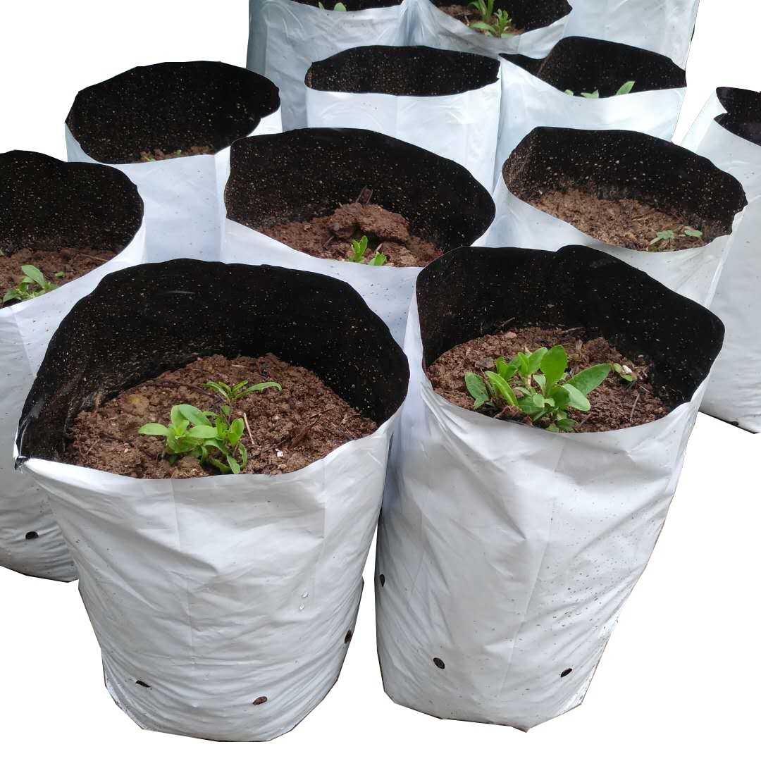Water-Permeable and Breathable Square Bottom Plant Planting Bag Ldpe Plastic Growth Bag Insulated Reflective Black and White Pe Cultivation Bag