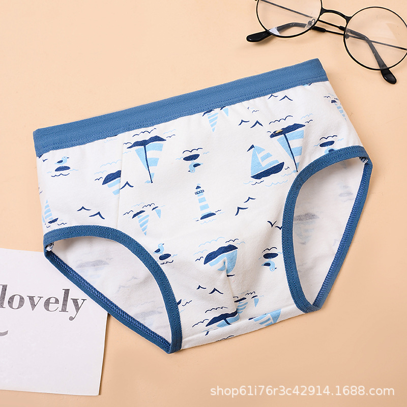 New Boys Underwear Triangle Cotton Children's Underwear Boys' Briefs Cotton Teenagers Children's Underwear Cotton