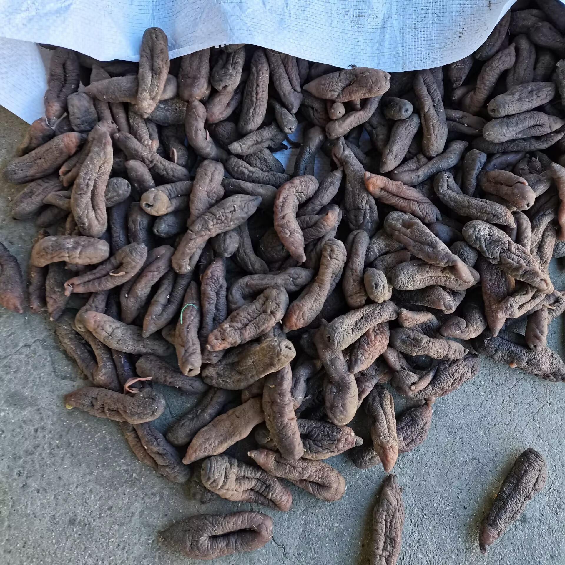 Средний корень женьшеня, без грязи, высокое увеличение, толстая мякоть, однородный размер