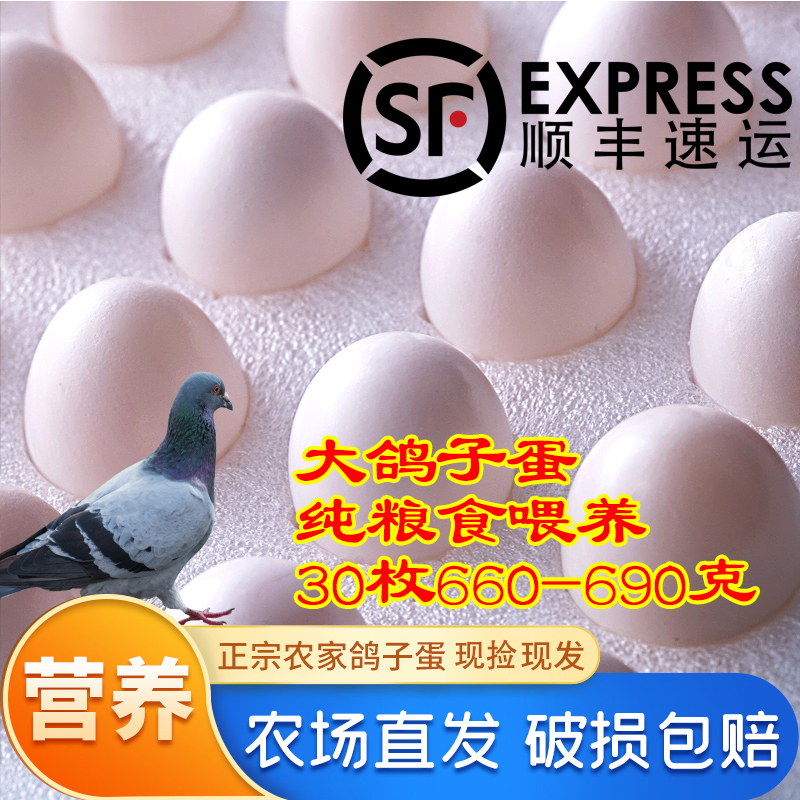 Бесплатная доставка [30 штук более 660 граммов] свежих яиц голубей, фермерские зерна, прямая доставка с фермы