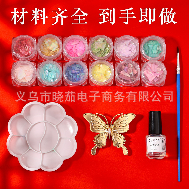 Mother-Of-Pearl DIY Material Kit for Children's Handmade Brooches, Butterfly and Moth Designs, Abalone Shell Fragments, Chinese-Style Imitation Bird's Nest Hairpin