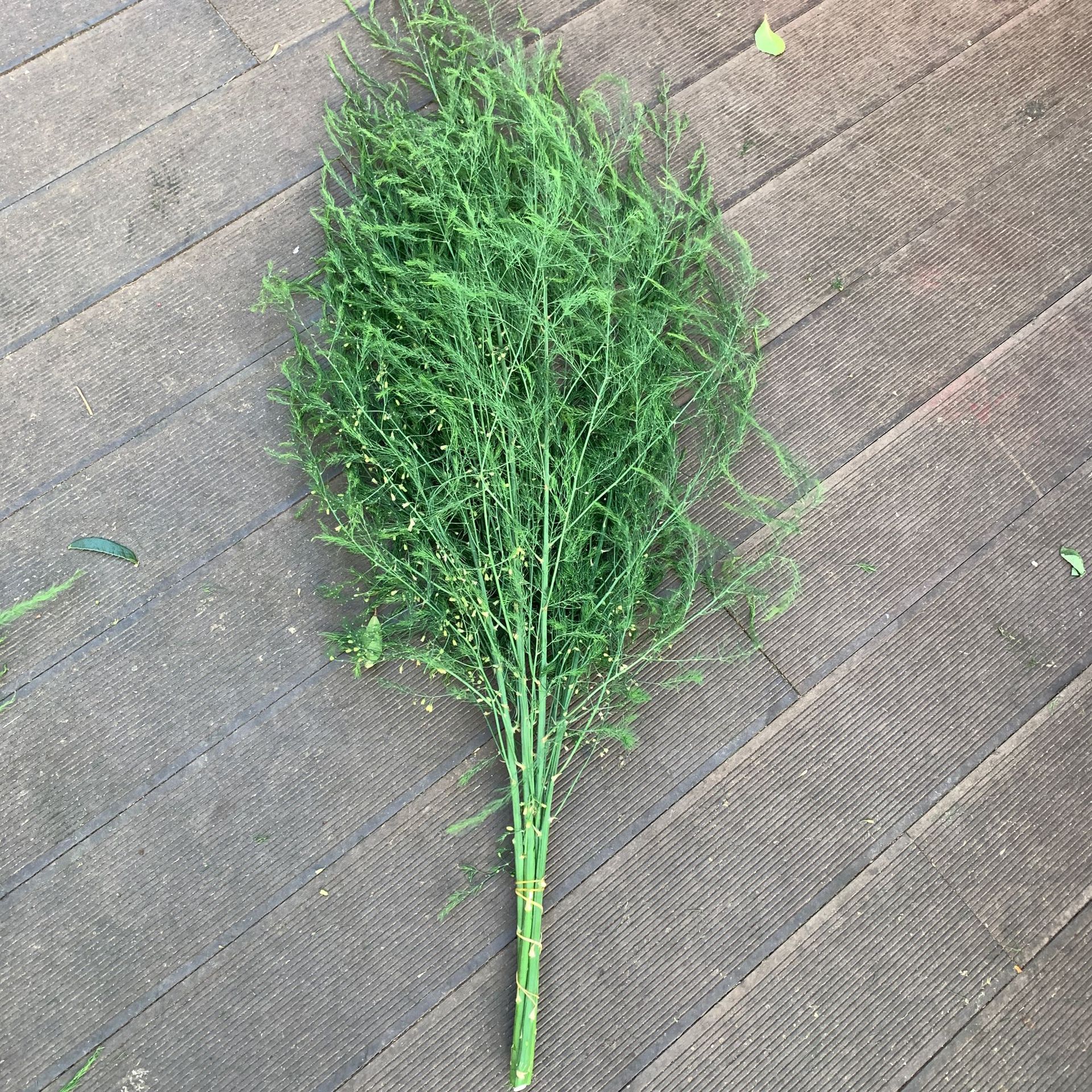 Fresh Asparagus Leaves, Flowers, Outdoor Wedding, Forest Style Wedding Arrangement, Flowers, DIY Asparagus Shooting Props