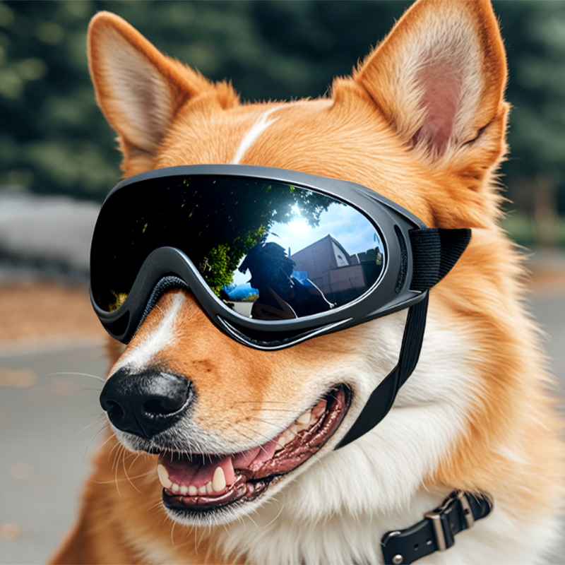 in stock Pet Glasses Medium and Large Dog Goggles Pet Headwear Pet Outdoor Windproof Glasses Dog Sunglasses