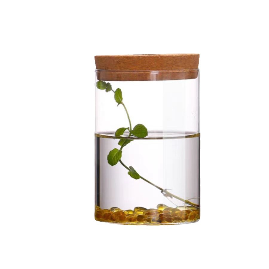 High Borosilicate Glass Straight Vase Green Rose Small Fish Tank Flower Arrange Hydroponic Landscape Flower Pot Vase Glass Ornaments