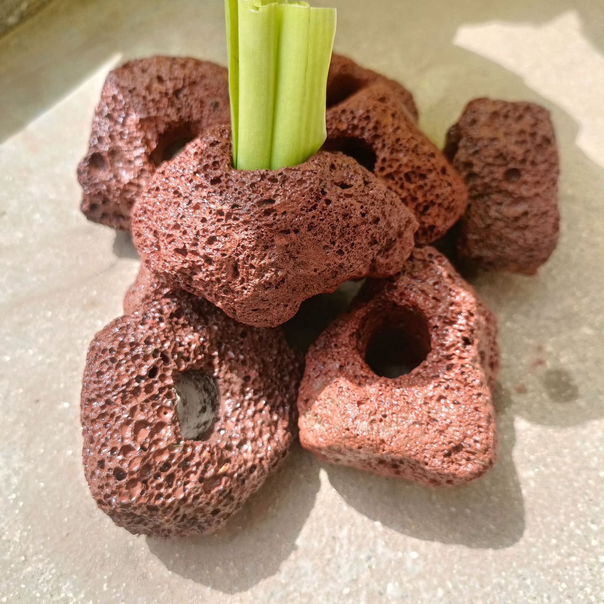 Factory supply fish tank water plant fixing ring water plant planting ring landscape decoration sink water ring volcanic stone water plant ring