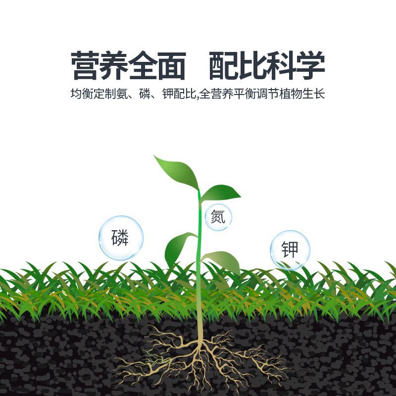 Bud Powered Family Garden Rapid Rooting Powder Flower Fruit Tree Balcony Potted Small Vegetable Garden Ground Planting Nutritional Fertilizer Flower Fertilizer