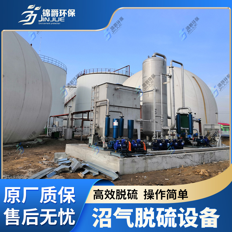 Biogas Dry Desulfurization Tank Equipment Biogas Complete Desulfurization Tower Biogas Purification Equipment Customization Jinjue Environmental Protection