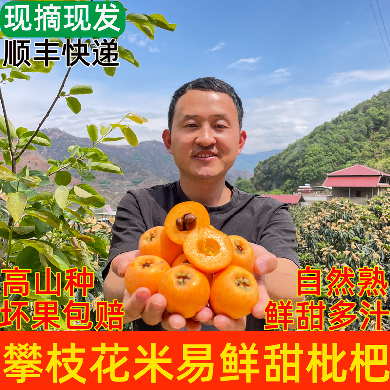 Свежесобранные лонганы из Паньчжихуа, Мийи, Сычуань, большие пятирублевые лонганы для беременных женщин в сезон, бесплатная доставка Sf