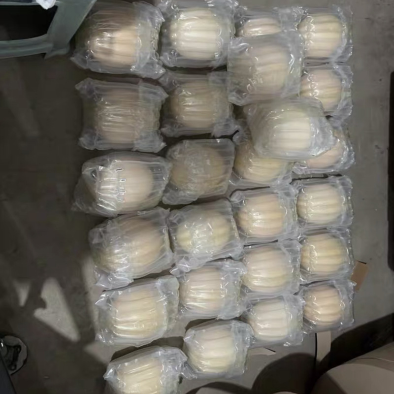 Super Large Fresh Edible Ostrich Egg Gift Box Emu Egg Edible Mid-Autumn Festival Dragon Boat Festival Gift Delicious and Nutritious