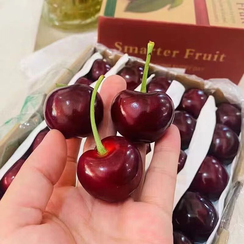 [Sf Gift Box] Cherries, Seasonal Fresh Fruits for Pregnant Women, Non-Large Cherries, Free Shipping