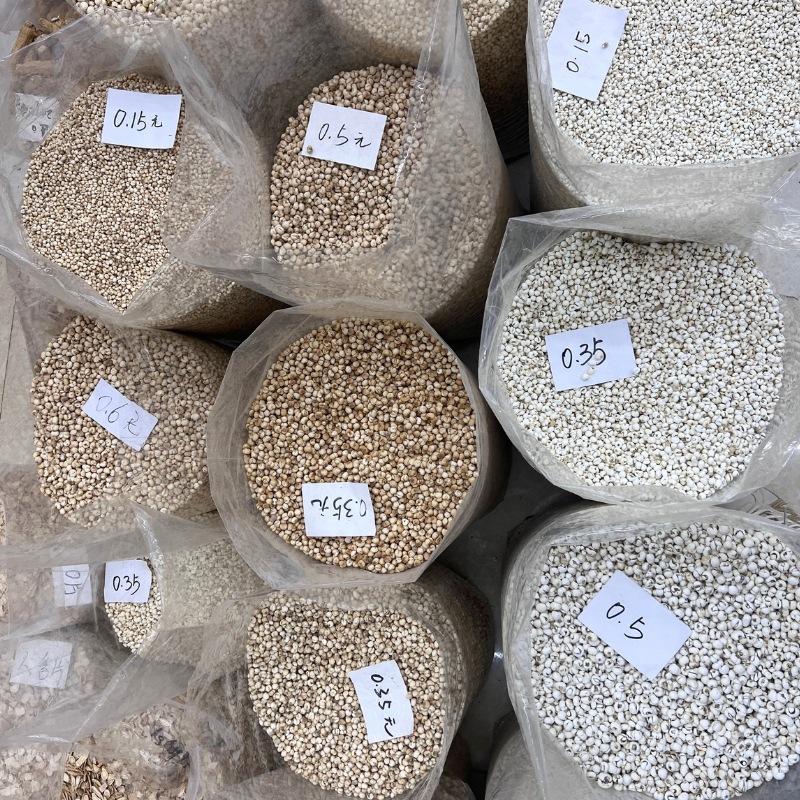 Mother-Of-Pearl Zhejiang Fritillaria Pingbei 500g Spot Bulk Wholesale Grindable Powder Ultra-Fine Powder Straight Batch Small Particle Fritillaria