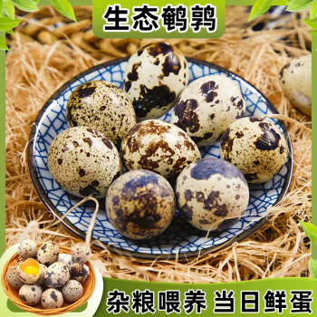 Fresh Quail Eggs and Multigrain Feeding, 100 Pieces Picked up and Shipped Now, Rich in Nutrients and Delicate Taste, Suitable for Poultry Eggs