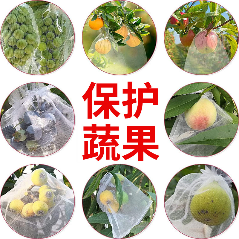 Fruit Bagging Breathable Light Transparent Bird and Insect-proof Mesh Bag Grape Strawberry Fig Pomegranate Protective Beam Mouth Bag