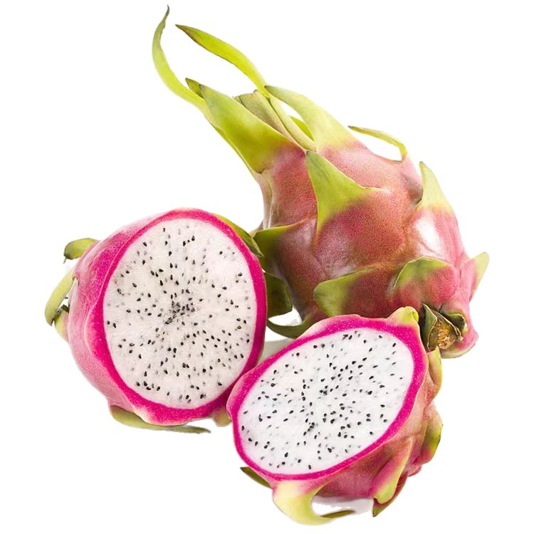 Fresh Vietnamese White Dragon Fruit Seasonal Tropical Fruit Direct from Origin Whole Box Free Shipping