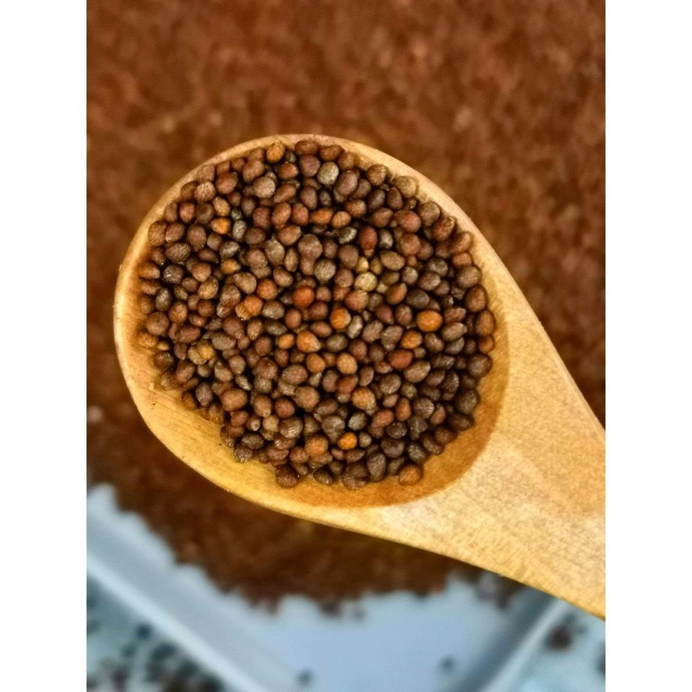 Cooked Perilla Seeds 500g New Roasted Perilla Seeds Edible Fried Perilla Seeds Moon Cake Fillings Barbecue Barbecue Seasoning