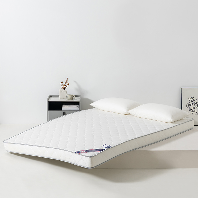 New Thickened Latex Mattress Dormitory Soft Cushion Foldable Storage Student Mattress Rental Home Mattress Wholesale