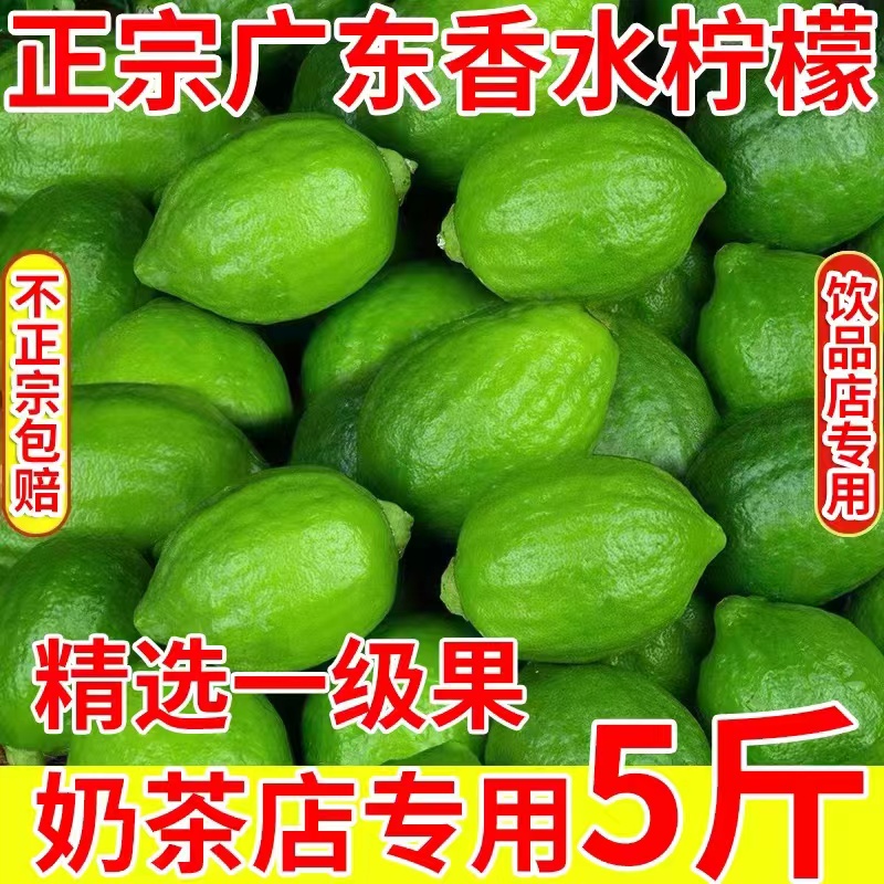 [Freshly Picked from the Orchard] Authentic Guangdong Seedless Perfume Lemon First-Grade Fruit Hand-Made Lemon Tea Milk Tea Shop Commercial