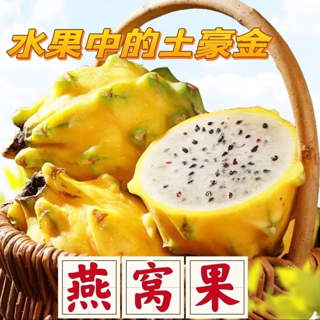 Fresh Golden Bird's Nest Fruit, Rare Fruit, Rare Unicorn Fruit, Seasonal Yellow-Skinned White-Heart Dragon Fruit, Whole Box Free Shipping