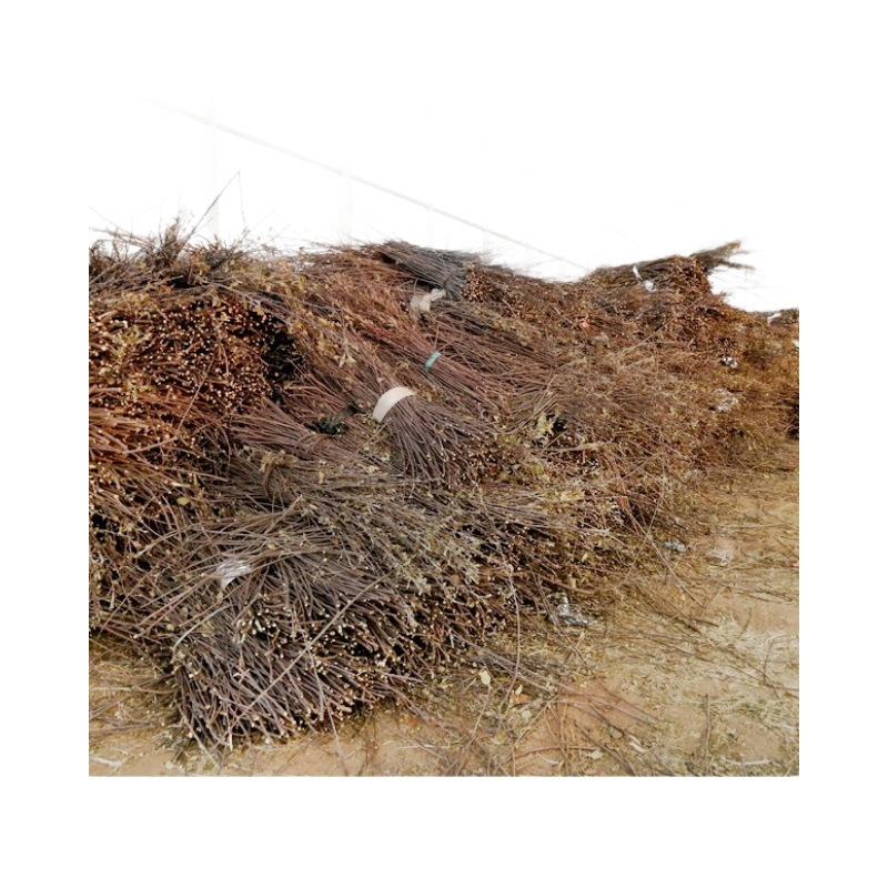 Hamster Rabbit Grinding Stick Stone Golden Bear Dutch Pig Totoro Squirrel Supplies Rabbit Rabbit Snacks Apple Branches Self-sealing Bag