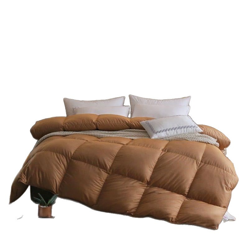 High-grade Down Quilt 95 White Goose Down Quilt Soft Spring and Autumn Quilt Core Light Luxury Thickened Warm Winter Single Double Quilt